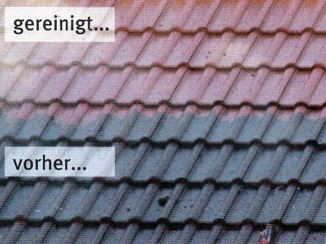 Dachziegel vor und nach der Reinigung durch DaBeTec